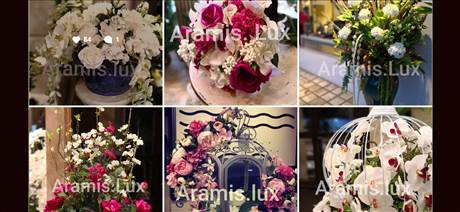 فروشگاه گل و گیاه آرامیس